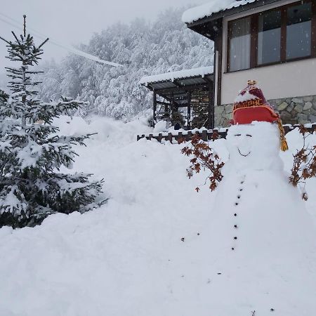 Holiday Home Drijenak Kolaşin Dış mekan fotoğraf