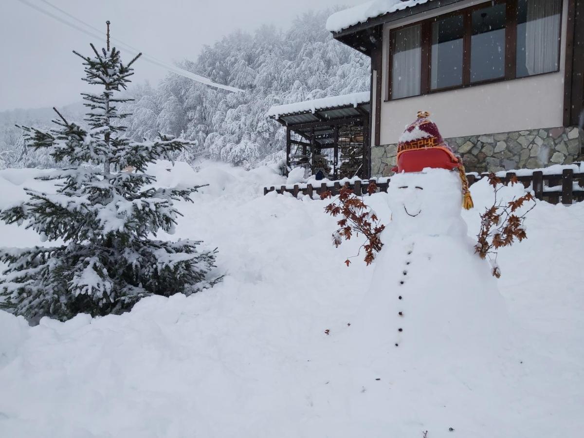 Holiday Home Drijenak Kolaşin Dış mekan fotoğraf